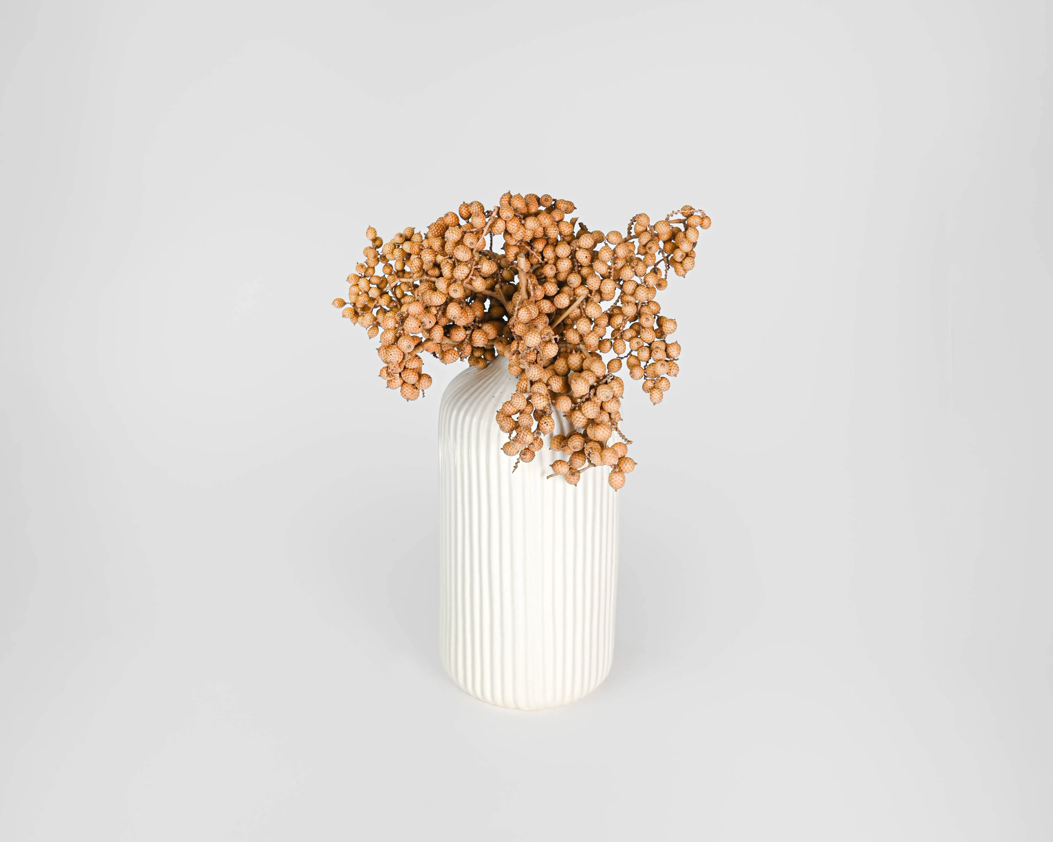 Dried Canella Berries - Decorative Bunch